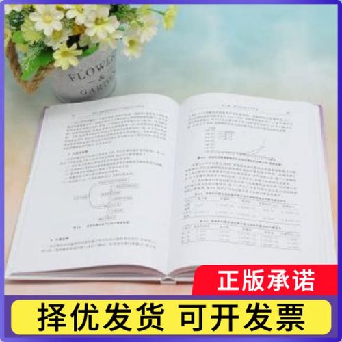软件工程之道 论计算机软件的结构化与创新